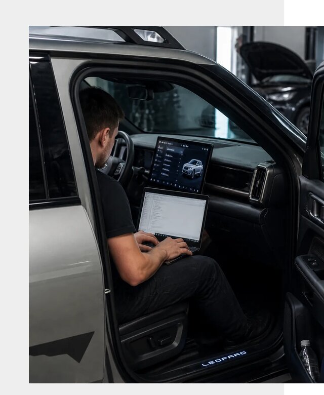 Русификация BYD Leopard 3 в Сибае по цене от 20449 р. | ФастМобиль-Сба